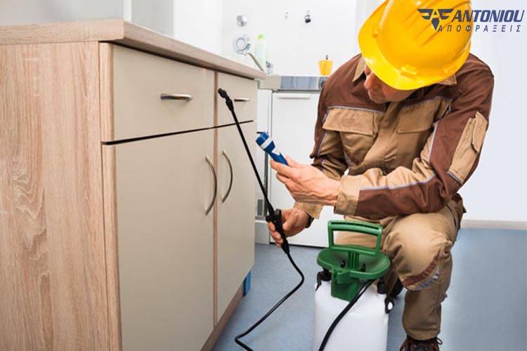 Πως να απαλλαγείτε από τις κατσαρίδες στο χώρο σας 4